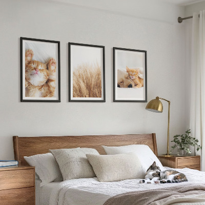 Conjunto de quadros para sala de estar Animais fofos, gatos, cachorros, estilo boho.
