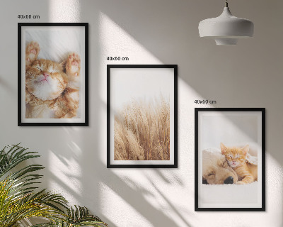 Conjunto de quadros para sala de estar Animais fofos, gatos, cachorros, estilo boho.