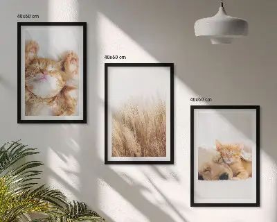 Conjunto de quadros para sala de estar com estampas de animais fofos, gatos e cachorros em estilo boho