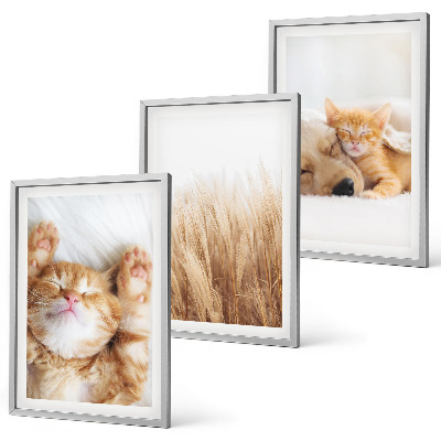 Conjunto de quadros para sala de estar Animais fofos, gatos, cachorros, estilo boho.