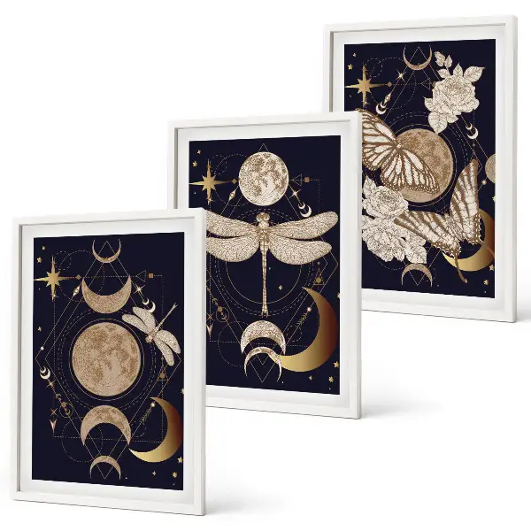 Conjunto de quadros decorativos modernos com motivos de natureza, lua e flores