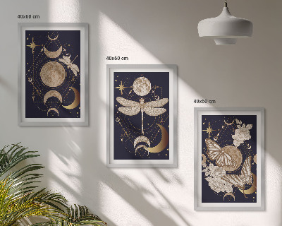 Composição de quadros moderna Motivos da natureza, lua, flores
