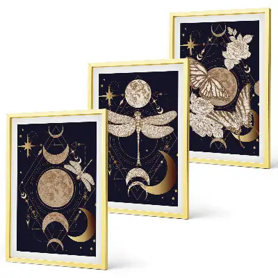 Conjunto de quadros decorativos modernos com motivos de natureza, lua e flores