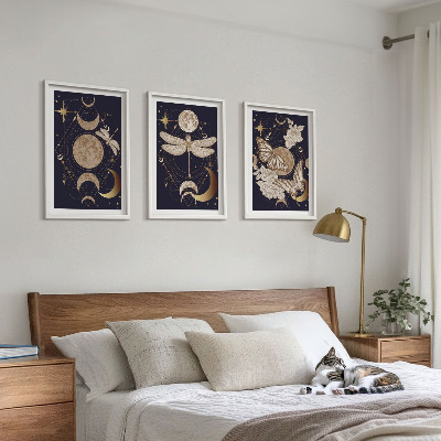 Composição de quadros moderna Motivos da natureza, lua, flores