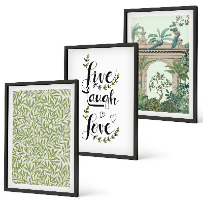 Conjunto de 3 quadros com moldura Folhas verdes da arquitetura das plantas