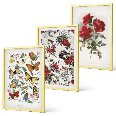 Conjunto de 3 quadros com moldura estampa de borboletas com flores e rosas vermelhas