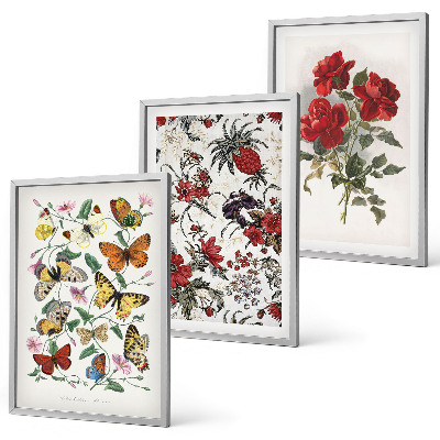 Conjunto de 3 quadros com moldura Borboletas, flores, rosas vermelhas