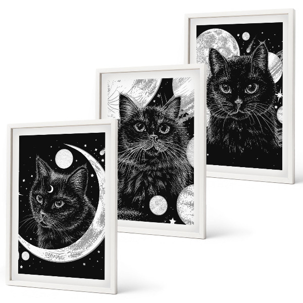 Composição de quadros moderna gatos pretos lua espaço