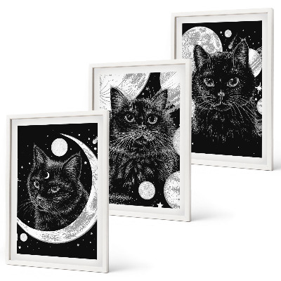 Composição de quadros moderna gatos pretos lua espaço