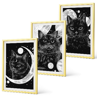 Composição de quadros moderna gatos pretos lua espaço
