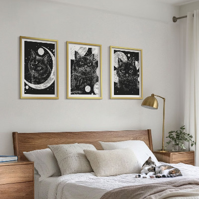 Composição de quadros moderna gatos pretos lua espaço