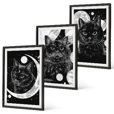 Composição de quadros moderna gatos pretos lua espaço