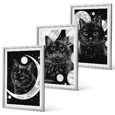 Composição de quadros moderna gatos pretos lua espaço