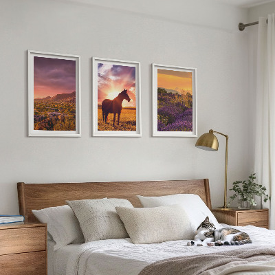 Composição de quadros moderna Paisagem montanhosa com um cavalo