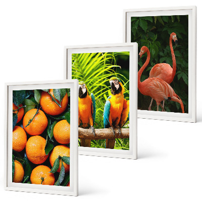 Conjunto de quadros para sala de estar Toques frutados nos trópicos