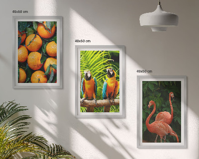 Conjunto de quadros para sala de estar Toques frutados nos trópicos