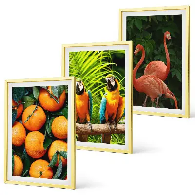 Conjunto de quadros para sala de estar estampa toques frutados nos trópicos