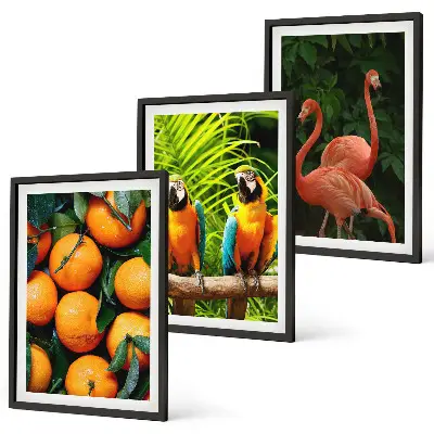 Conjunto de quadros para sala de estar estampa toques frutados nos trópicos