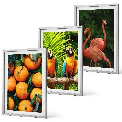 Conjunto de quadros para sala de estar estampa toques frutados nos trópicos