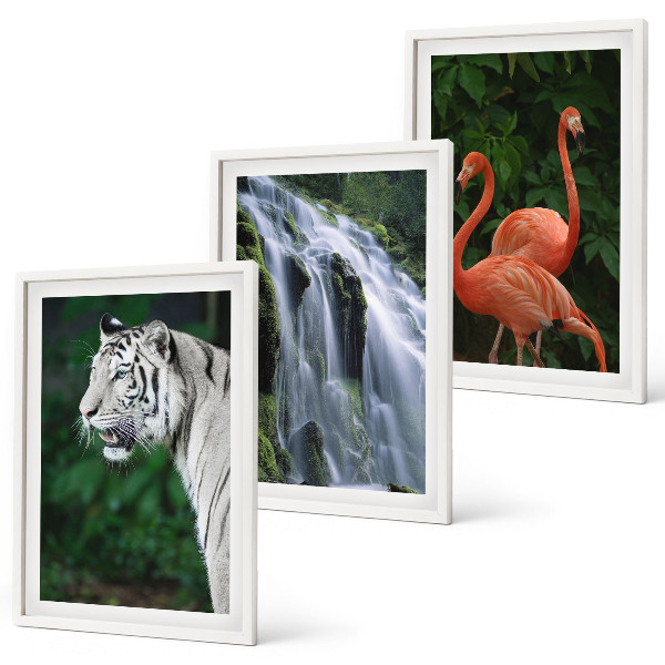 Composição de quadros moderna Cachoeira do tigre, flamingos, natureza