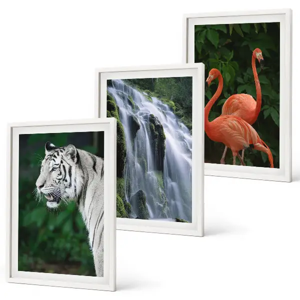 Composição de quadros moderna com cachoeira, tigre e flamingos em estilo natureza