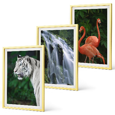 Composição de quadros moderna Cachoeira do tigre, flamingos, natureza