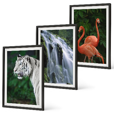 Composição de quadros moderna Cachoeira do tigre, flamingos, natureza