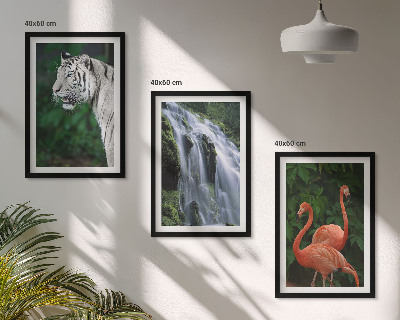 Composição de quadros moderna Cachoeira do tigre, flamingos, natureza