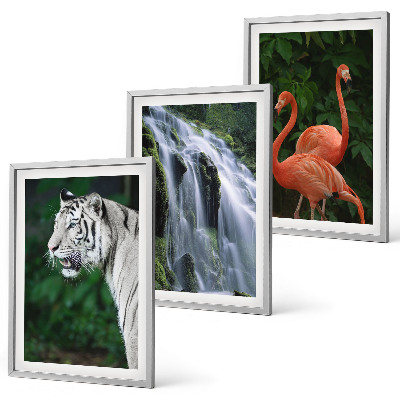 Composição de quadros moderna Cachoeira do tigre, flamingos, natureza