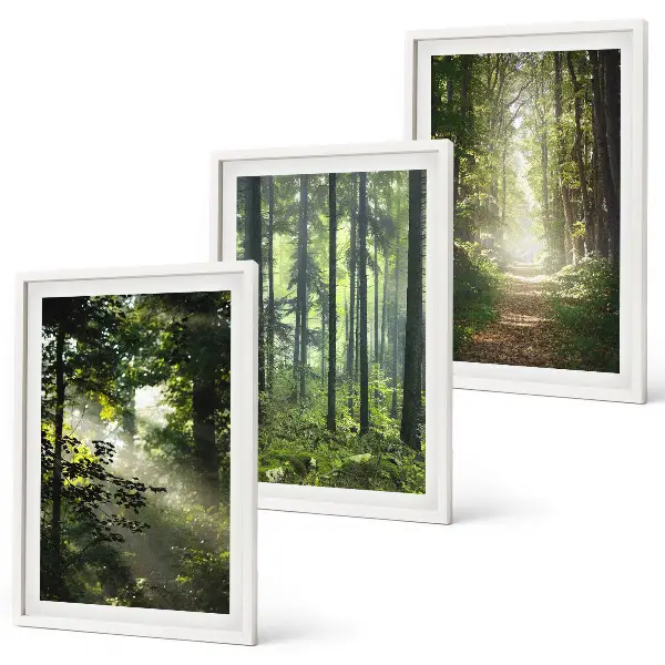 Conjunto de quadros para sala de estar com estampa de florestas verdes e raios de luz