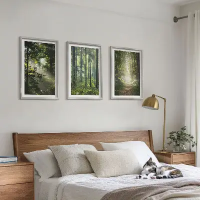 Conjunto de quadros para sala de estar com estampa de florestas verdes e raios de luz