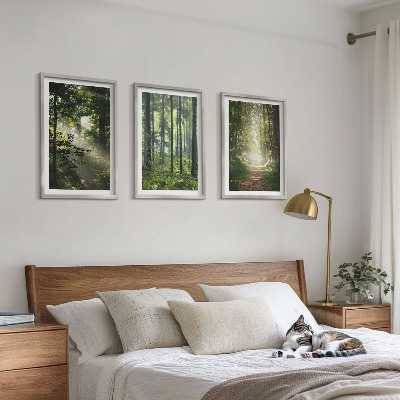Conjunto de quadros para sala de estar Florestas verdes com raios de luz