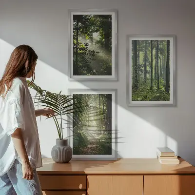 Conjunto de quadros para sala de estar com estampa de florestas verdes e raios de luz