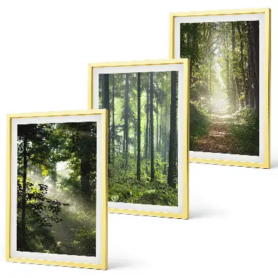 Conjunto de quadros para sala de estar com estampa de florestas verdes e raios de luz