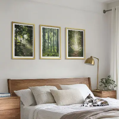 Conjunto de quadros para sala de estar com estampa de florestas verdes e raios de luz