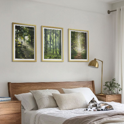 Conjunto de quadros para sala de estar Florestas verdes com raios de luz