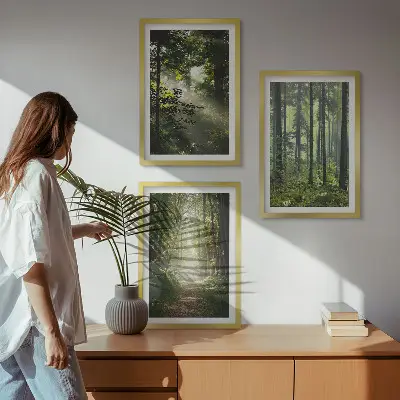 Conjunto de quadros para sala de estar com estampa de florestas verdes e raios de luz