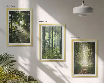 Conjunto de quadros para sala de estar com estampa de florestas verdes e raios de luz
