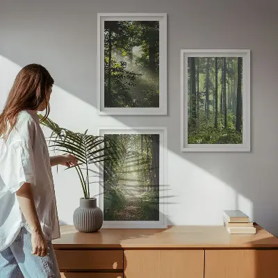 Conjunto de quadros para sala de estar com estampa de florestas verdes e raios de luz