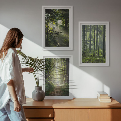 Conjunto de quadros para sala de estar Florestas verdes com raios de luz