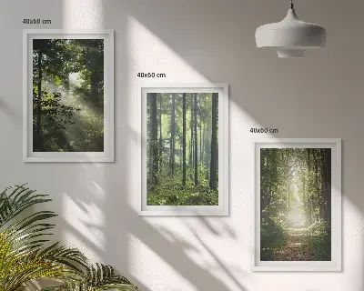 Conjunto de quadros para sala de estar com estampa de florestas verdes e raios de luz