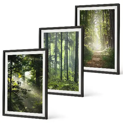 Conjunto de quadros para sala de estar com estampa de florestas verdes e raios de luz