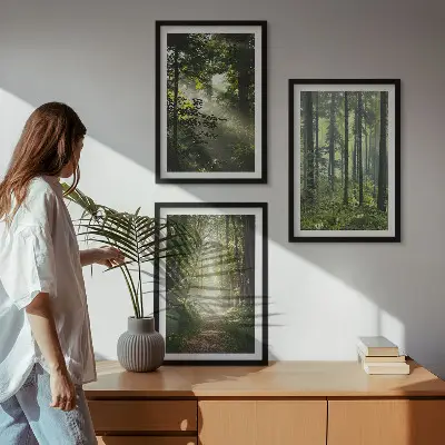 Conjunto de quadros para sala de estar com estampa de florestas verdes e raios de luz