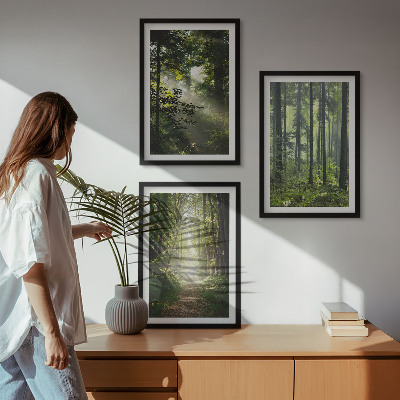 Conjunto de quadros para sala de estar Florestas verdes com raios de luz