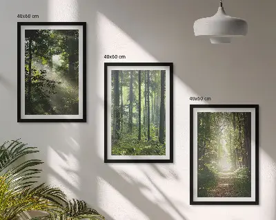 Conjunto de quadros para sala de estar com estampa de florestas verdes e raios de luz