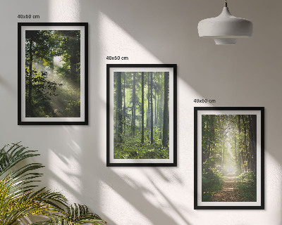 Conjunto de quadros para sala de estar Florestas verdes com raios de luz