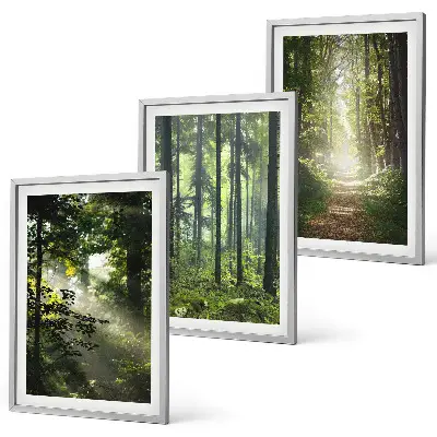 Conjunto de quadros para sala de estar com estampa de florestas verdes e raios de luz