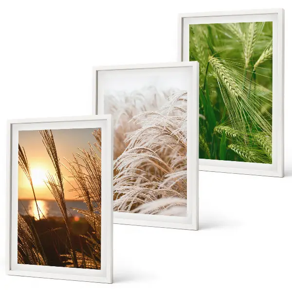 Conjunto de quadros modernos grama e natureza colorida