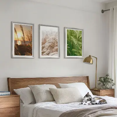 Conjunto de quadros modernos grama e natureza colorida