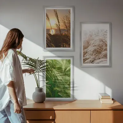 Conjunto de quadros modernos grama e natureza colorida